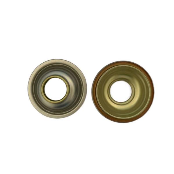 Varios tamaños Aerosol Spray puede cúpula cera de automóvil cuidado personal para el detalle del coche