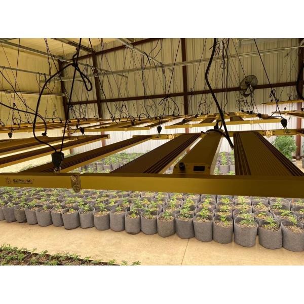 PPE 2,9 μMol/J Luzes de cultivo de plantas de interior 520 W Luzes de cultivo de LED para interior com infravermelho