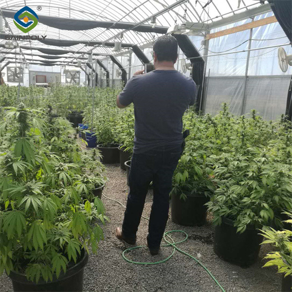 Snow Resistance Polycarbonate Film Greenhouse 100% Darkness Easy To Install