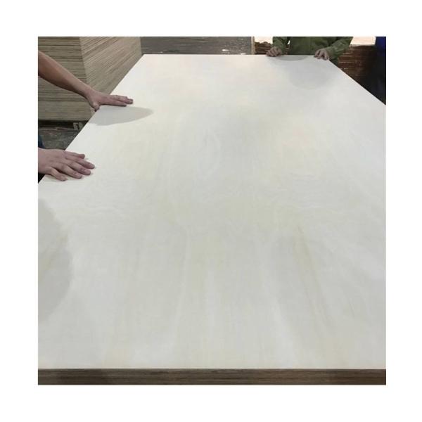 1220*2440mm Birch Faced Plywood