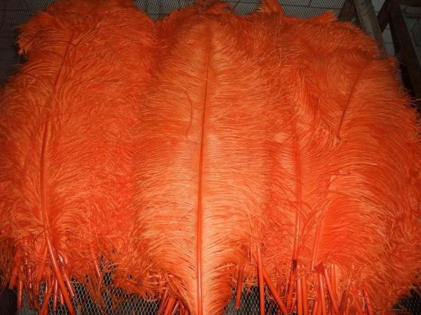 Várias Cores Millinery Penas de avestruz Penas de pluma 50-55cm Para decoração de chapéu