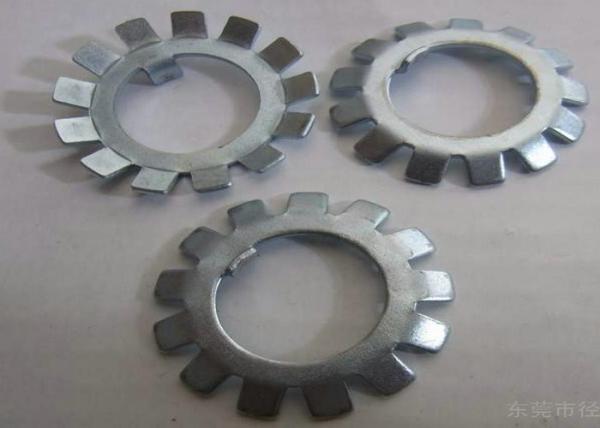 SS304 SS316 MS Steel Lock Washer with External Teeth Serrated in MB01-MB20 Sizes Packed in Cartons