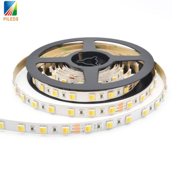 DC12V/24V 300 LED Strip 5050 SMD Dual Color 2in1 5 Meter Wifi Control Addressable CCT IP20/IP68