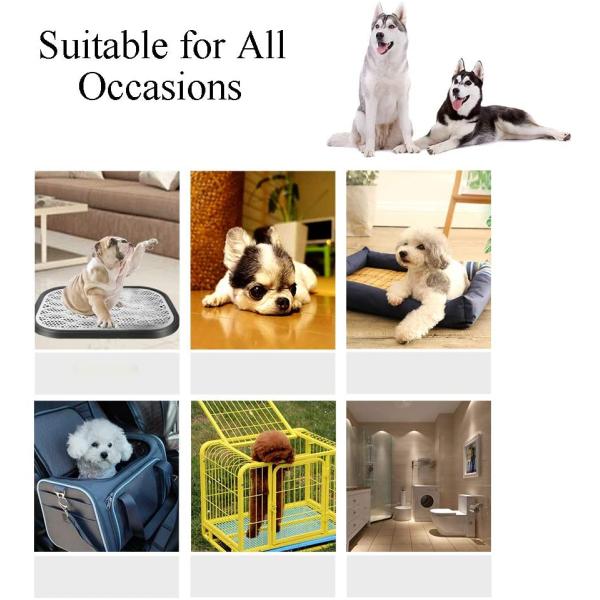 S&J Dog Cat Super Absorbent Pet Training Pads Puppy Pee Pad Disposable Pet Potty Pet Pad OEM
