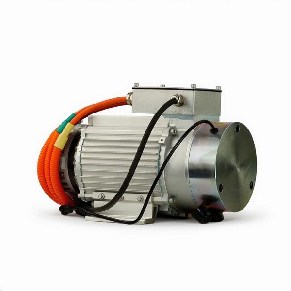High-Durability 5kW PMSM for Electric forklift oil pump motor