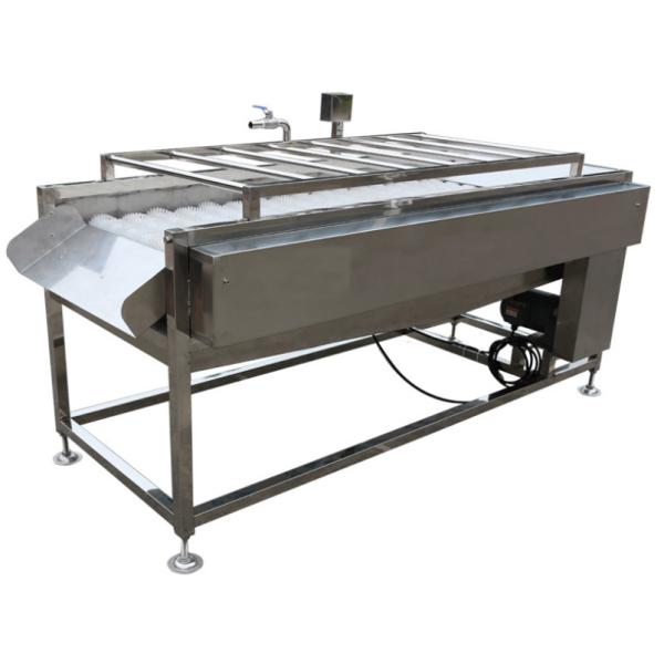 500kg/h Food Processing Plant Equipment , Vegetable Fruit Brush Washer