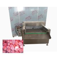 SUS304 Máquina de congelamento de alimentos para peixes 1500 kg/h Iqf congelador de túnel