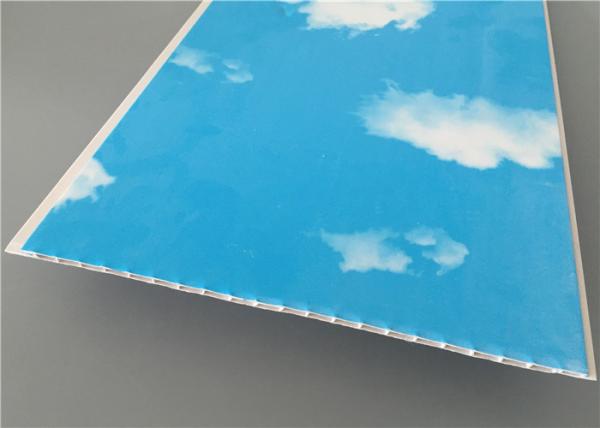 Blue Sky Garage Organization Wall Panels , Laminate Wall Panels For Bathrooms