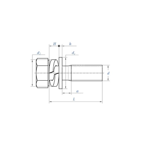 Hexagon head bolt ,single coil spring lock washer and plain washer accessbilies