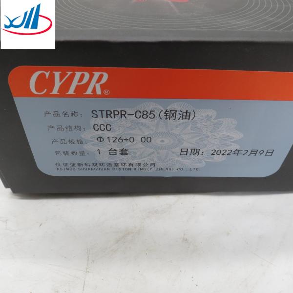 Iron Material Piston Ring XCMG Spare Parts 612600030058 Best Price