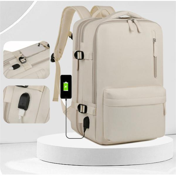 OEM/ODM Accepted Functional Travel Laptop Backpack with USB Charging