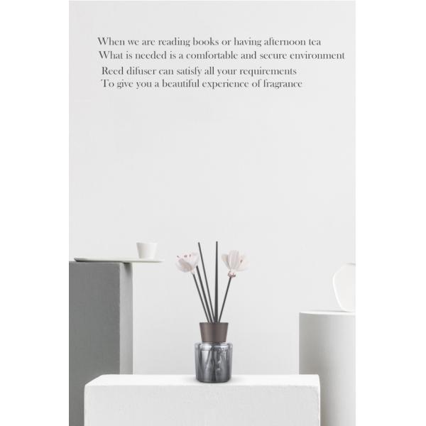 Wood Cap Reed Diffuser Sticks Glass Bottle Custom Fragrant Packaging Box