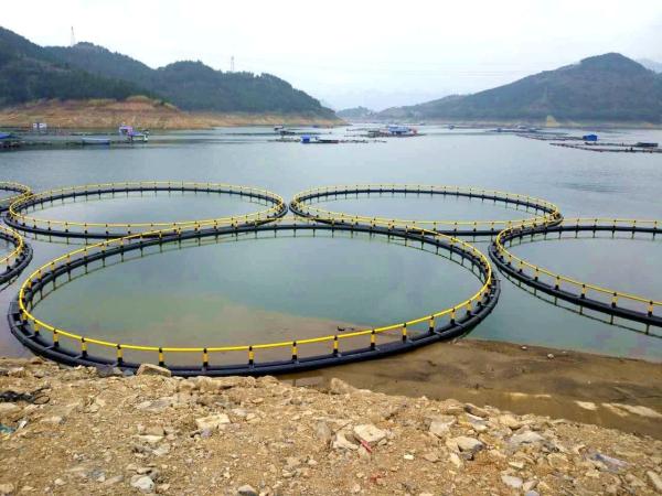 Fresh Water Floating Fish Cages with Pipe 200mm/250mm/315mm/350mm/400mm/450mm/500mm
