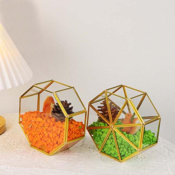 Creative golden glass artifact windows display box garden dried flowers green plants succulent plant ornaments