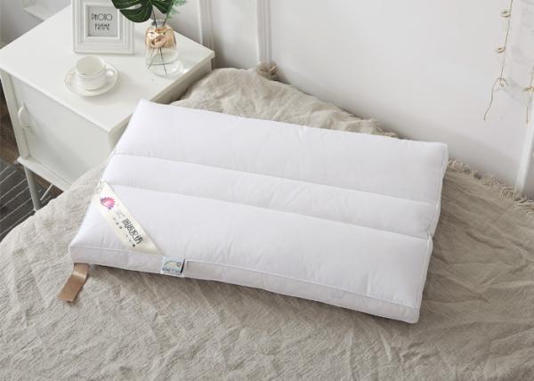 100% Cotton Downproof 100g 40s Goose Down Pillows