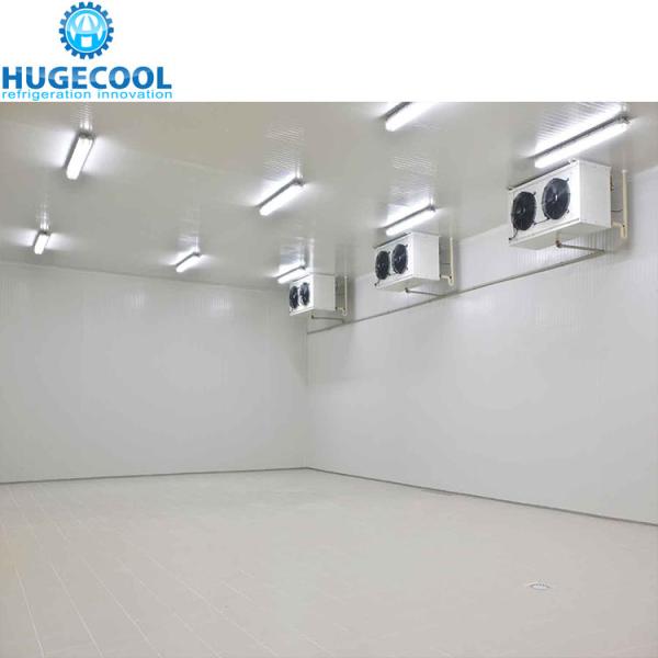 O melhor armazenamento frigorífico para poupança de energia e energia