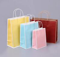 Logo personnalisé Sacs en papier réutilisables Sacs en papier boutique pour magasins de détail avec poignée