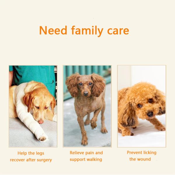 Скакательный сустав спортивные наколенники дышащий противоударный пользовательский наколенник для маленькой собаки