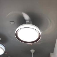 Lustre mené 42 par pouces pour la lumière à télécommande de fan de plafond de chambre à coucher