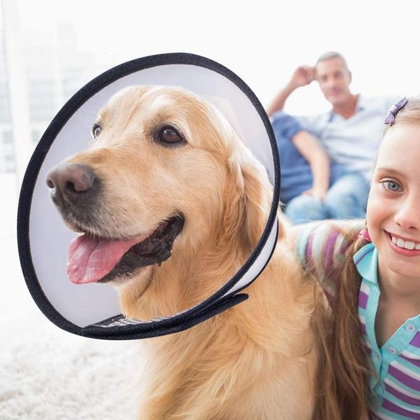 Multi Size Protective Pet Collars Plastic Dog Elizabeth Collar With Soft Edge