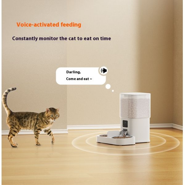 6L Video Edition Automatic Pet Feeder Solid Pattern Double Feeding Eco-Friendly Plastic Battery Charging Capabilities Adjustable