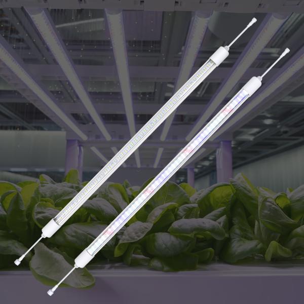 Supplemental Led Grow Light Bars Full Spectrum Waterproof Led Grow Lamp Strip for Indoor Plants Greenhouse Growing