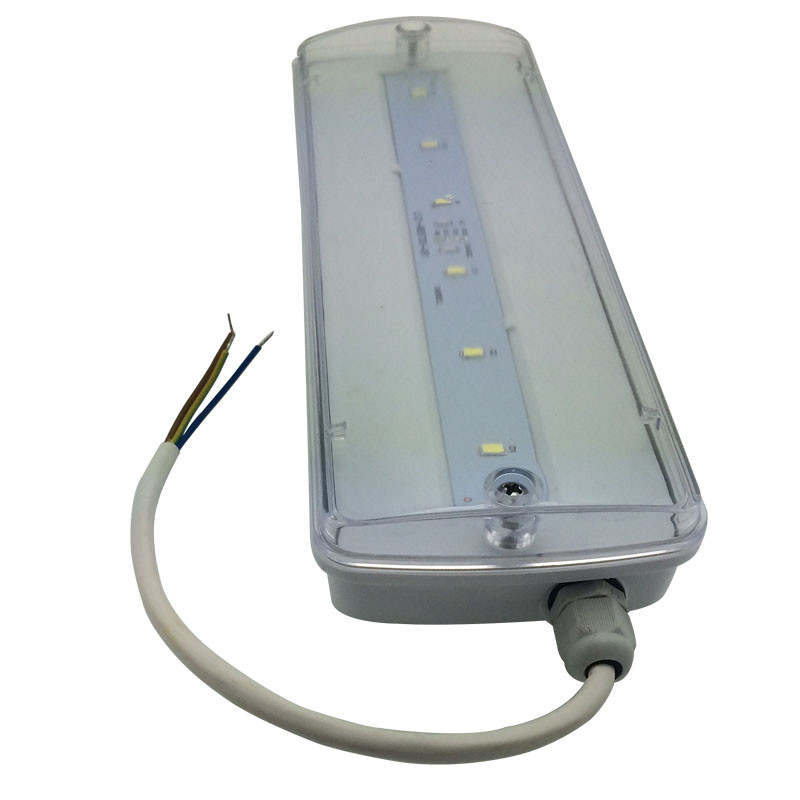 3 Hours Rechargeable Bulkhead Waterproof Emergency Light IP65 Plastic Ni-Cd L116N-E