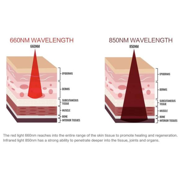 Пояс терапией красного света СИД ткани около прибора инфракрасного света для облегчения боли в суставе мышцы