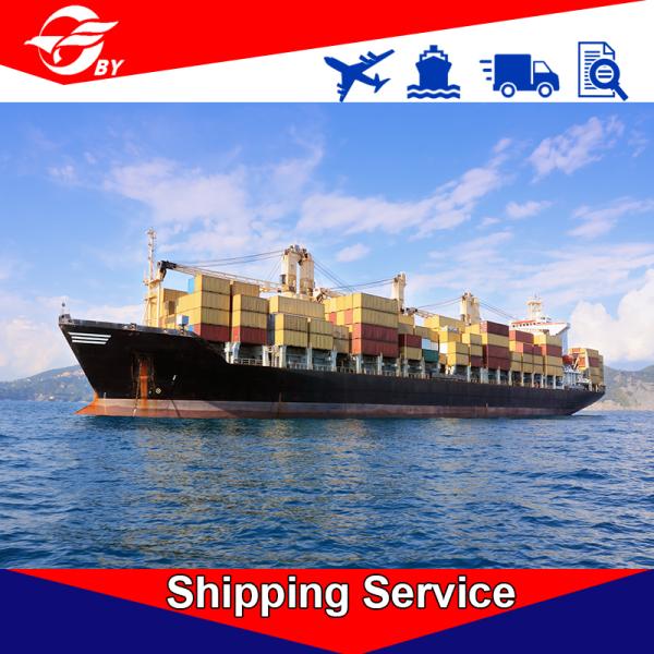 CN - EU International Ocean Freight Forwarders Port To Port Services