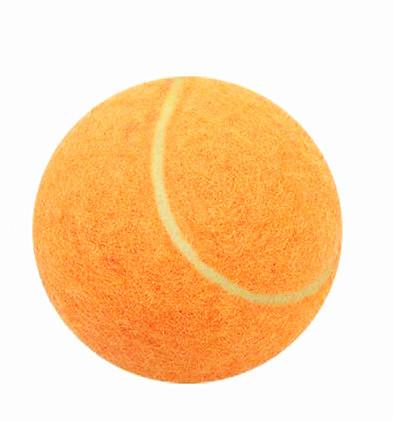 orange  tennis ball for pet