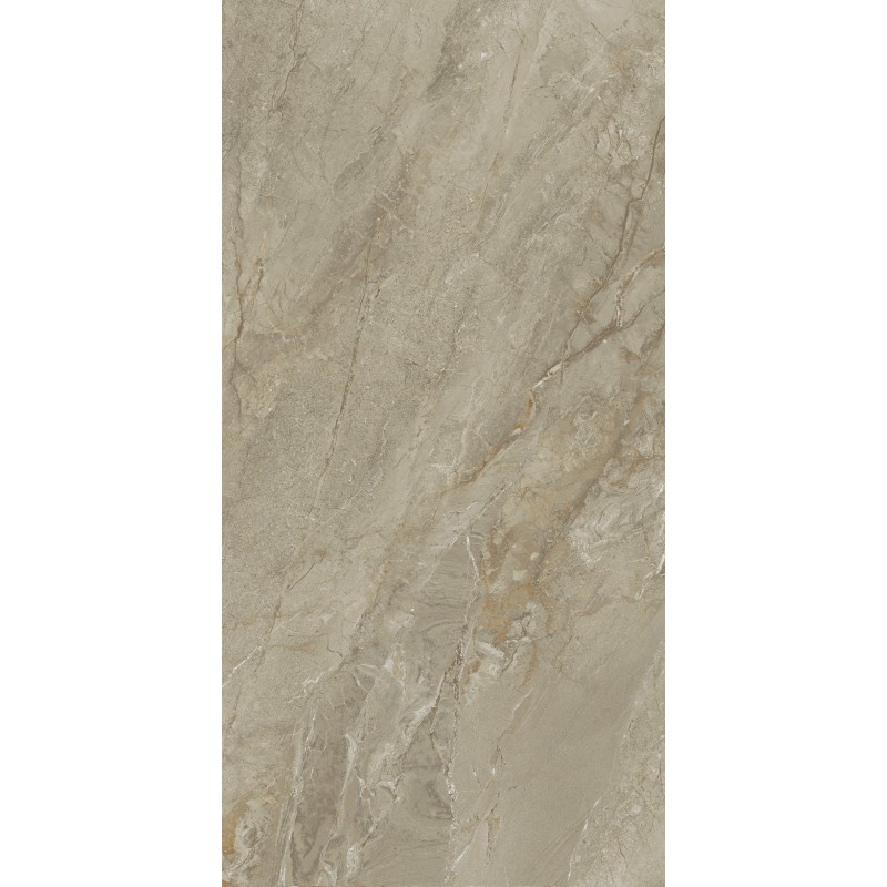 Moisture-proof Gray 600x1200mm Mould Surface Matt Porcelain Tiles For Living Room