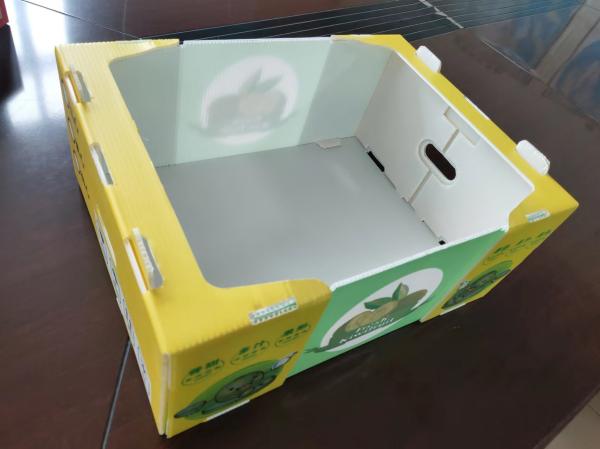 Reusable Plastic Fruit Box with Customized Capacity and Ventilation with colored printing