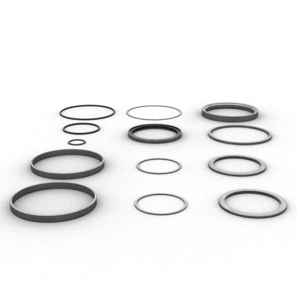 599-0605: Bucket Cylinder Seal Kit Caterpillar