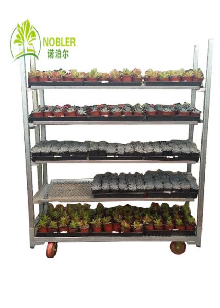 Nobler Danish Container Equipment Galvanized CC Flower And Plant Trolleys