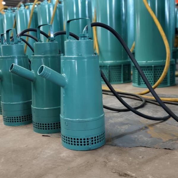 WQ15KW 20Hp Non Clogging Industrial Sewage Pumps With Powerful Drainage High Flow For Sewage