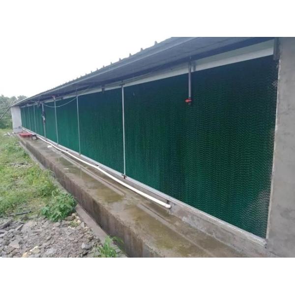 Automatic Chicken House Broiler Poultry Farm Equipment