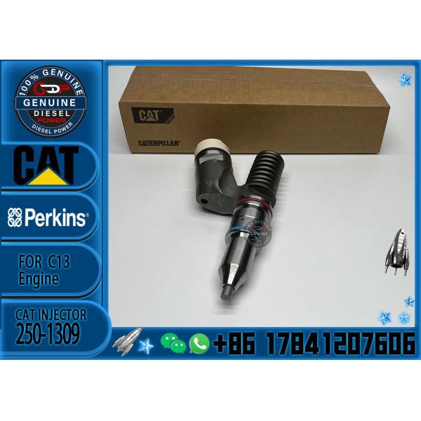 High Quality Diesel CAT Fuel Injector 250-1309 2501309 10R-3258 10R3258 For Cat C13 Excavator Parts Engine