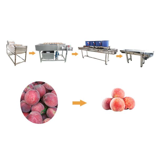 Hot selling Home Type Vegetable Washing Machine With Cheap Price by Huafood