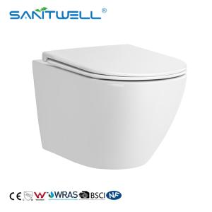 Wall Mounted WC