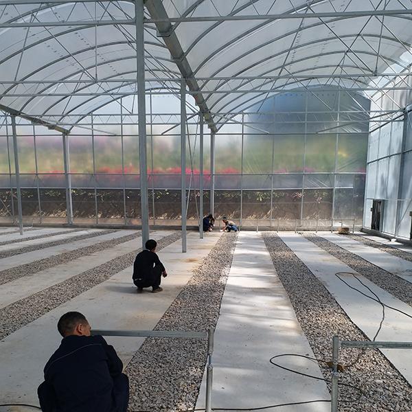 Single Layer Greenhouse Hydroponics System Wrought Iron Greenhouse With Film Surface