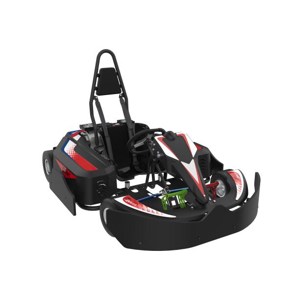 Гонки Cammus взрослых электрические идут мотор максимальной скорости 50km/h 1.2kw Kart