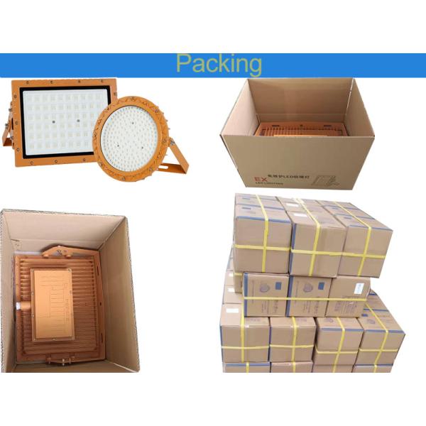 High Luminous Efficiency 125lm/w Lamp Explosion-proof Light with 3-