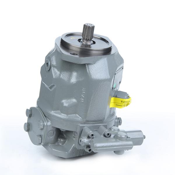 Drilling Rig Pump with Horizontal Pump Shaft Position A10vso100 by Directly