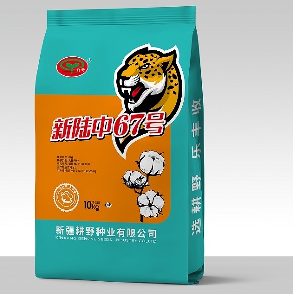 Durable Quality CE Certified Pp Sack Bag 100% Virgin PP Materials