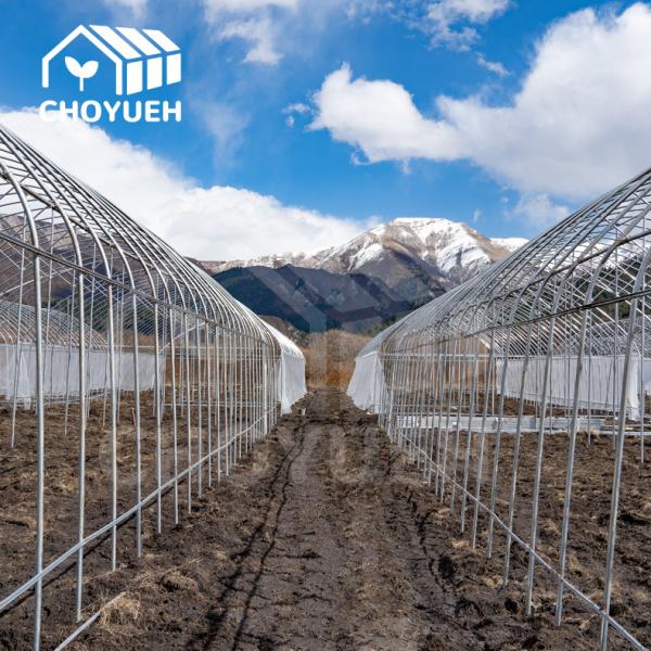 Polytunnel Plastic Film Greenhouse For Growing Strawberry Vegetables Flowers Fruits