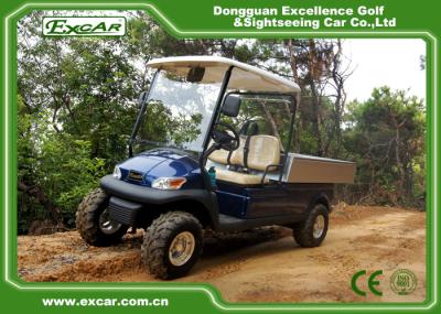 Carrinho de golfe azul da companhia de eletricidade de 48v 3.7kw 2 Seat/carro com erros do clube