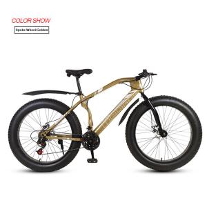 Electric City Bike