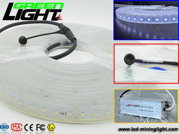 12v DC IP68 17W SMD5050 Flexible Led Strip Lights