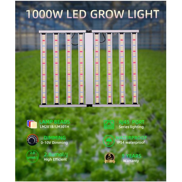 ANDY 4×6FT 1000W Led Grow Light Full Spectrum Hydroponic Plant Lamp Dimmable SAMSUNG Lm301h Evo Lm281b para Tomate Tequila Veg