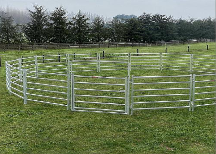 Portable Rotational Grazing Livestock Fence Smart Ready For Sustainable Farms